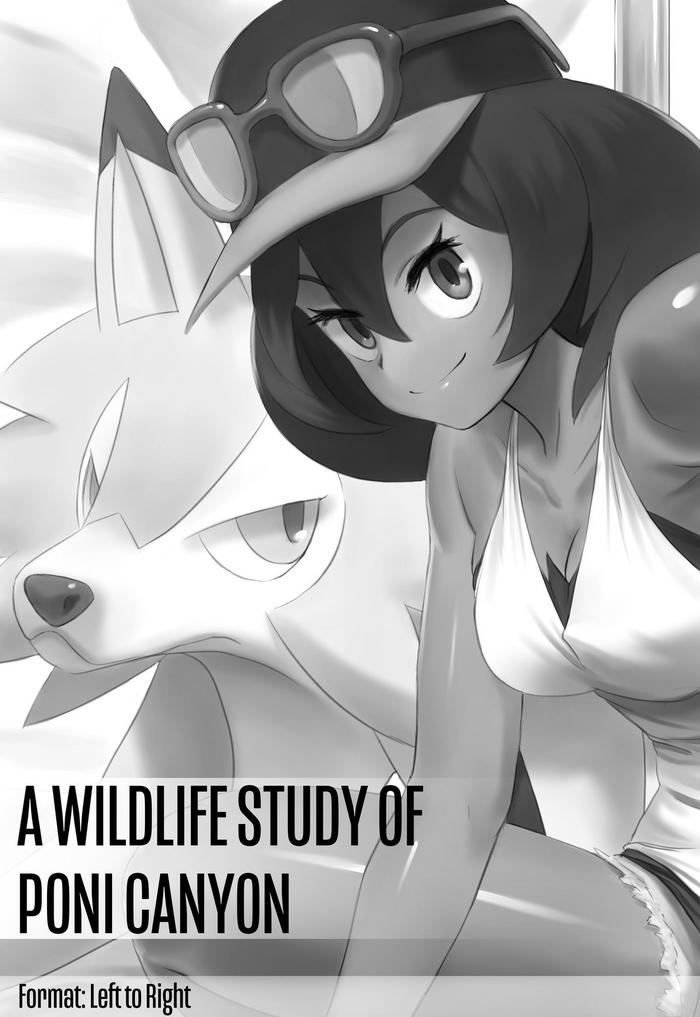 Eng Sub A Wildlife Study of Poni Canyon- Pokemon | pocket monsters hentai Slut