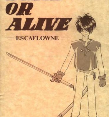 Teenage Sex Dead or Alive- The vision of escaflowne hentai Harcore